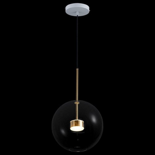 Подвесной светодиодный светильник Loft IT Bolle 2027-P1