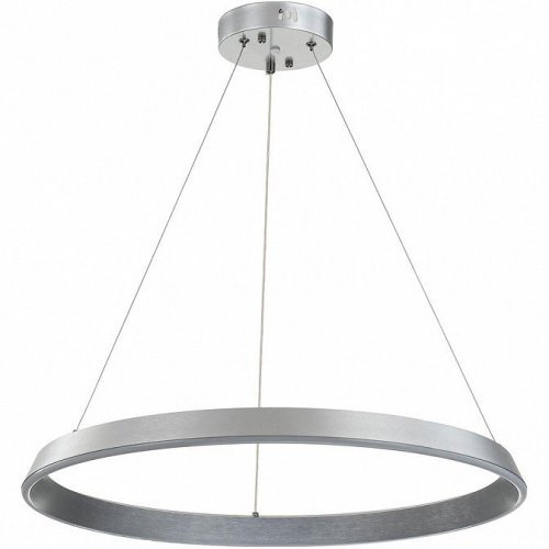 Подвесной светильник Indigo Orta 14019/1P Silver