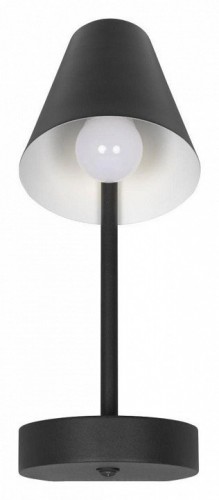 Настенный светильник Loft IT Shelf 10216/1W Black