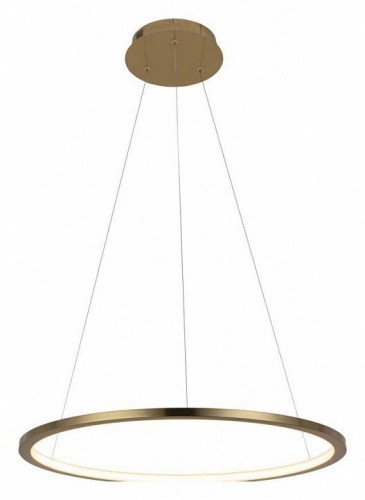 Подвесной светодиодный светильник Loft IT Ring 10014M