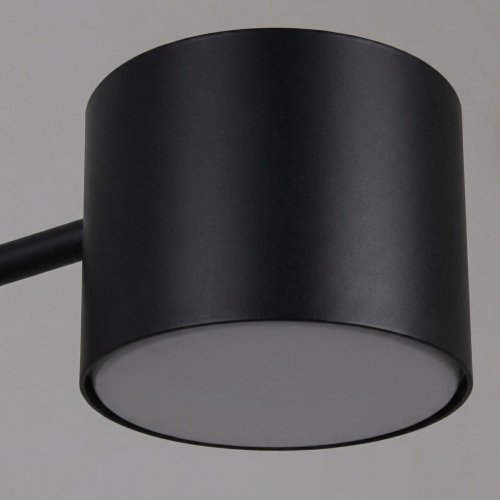 Потолочная люстра Reluce 47206-0.3-06BK