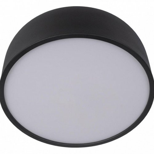 Потолочный светильник Loft IT Axel 10201/350 Black