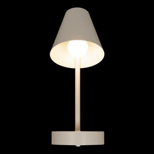 Настенный светильник Loft IT Shelf 10216/1W White