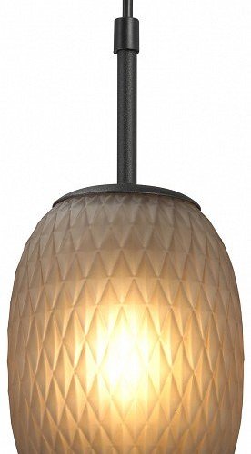 Потолочная люстра Vitaluce V28211-1/1S