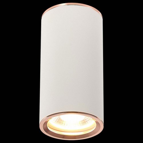 Накладной светильник ST Luce Chomus ST111.527.01 Накладной светильник ST Luce Chomus ST111.527.01