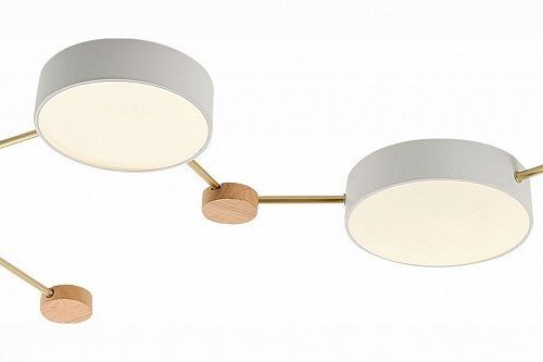 Потолочная люстра Evoluce Dossena SLE600102-04 Потолочная люстра Evoluce Dossena SLE600102-04