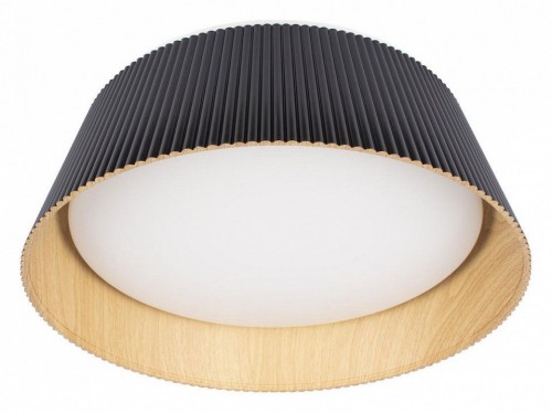 Потолочный светильник Loft IT Evans 10224 Black