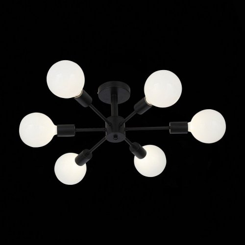 Потолочная люстра ST Luce Ano SL419.402.06