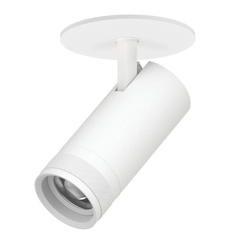 Спот Lightstar Canno Pro C4206RS