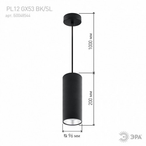 Подвесной светильник ЭРА PL12 GX53 BK/SL