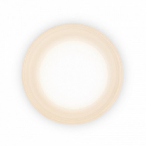 Настенный светильник Retro FR5603WL-L8W