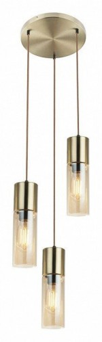 Подвесной светильник Toplight Ilene TL1628H-03GD