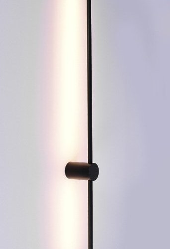 Настенный светильник Donolux Supreme DL20654WW8Black