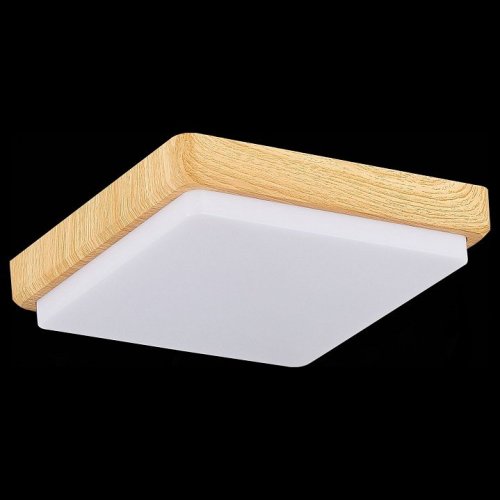 Потолочный светодиодный светильник Evoluce Taddio SLE200202-01