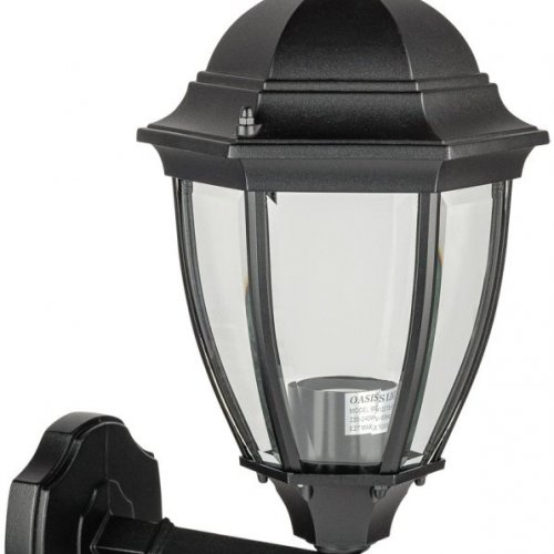Настенный фонарь уличный Oasis Light ARSENAL S 91201S 02 Bl