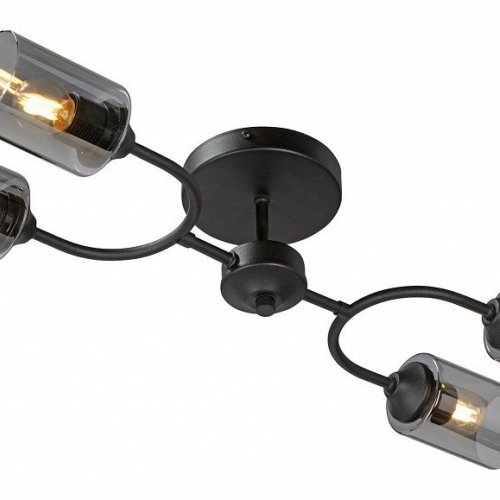 Потолочная люстра Vitaluce V2823-1/4PL Потолочная люстра Vitaluce V2823-1/4PL