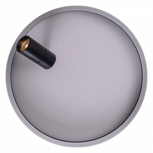 Потолочный светильник Zortes Raizy ZRS.1888.03