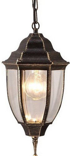 Уличный подвесной светильник Arte Lamp Pegasus A3151SO-1BN