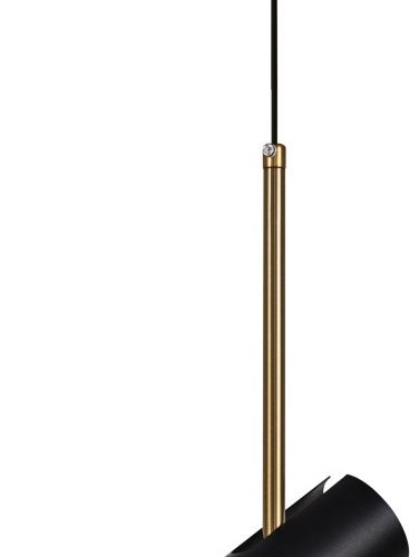 Подвесной светильник ЭРА PL33 BK/GD