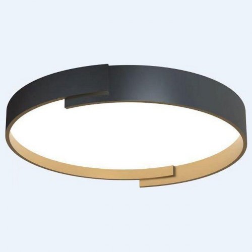 Потолочный светильник Alfa Light F0724-29