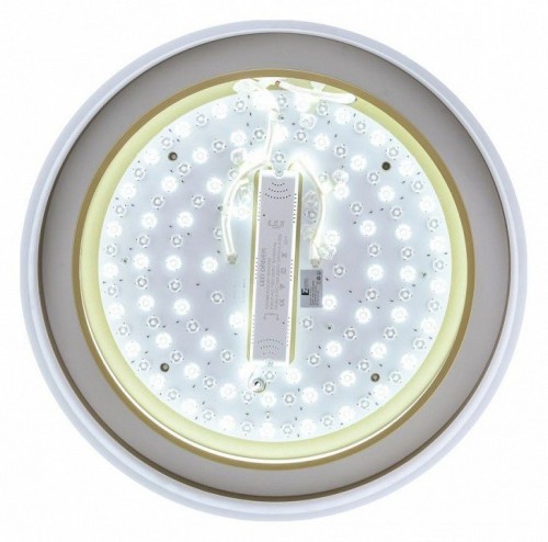 Потолочный светильник Zortes Adel ZRS.1200.01