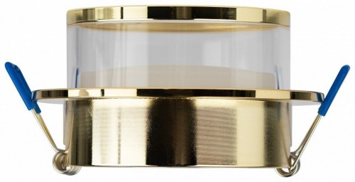 Точечный светильник ЭРА DK99 GD