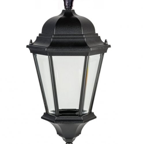 Потолочный светильник уличный Oasis Light ASTORIA 2 91405LA cover Bl