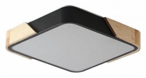 Потолочный светильник Zortes Alberro ZRS.01281.60 Потолочный светильник Zortes Alberro ZRS.01281.60