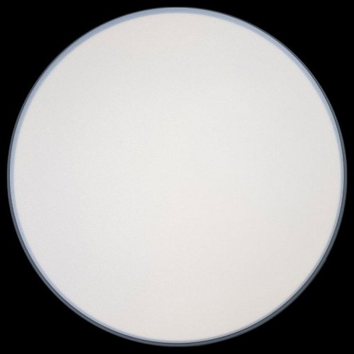 Потолочный светильник Loft IT Axel 10001/36 Grey