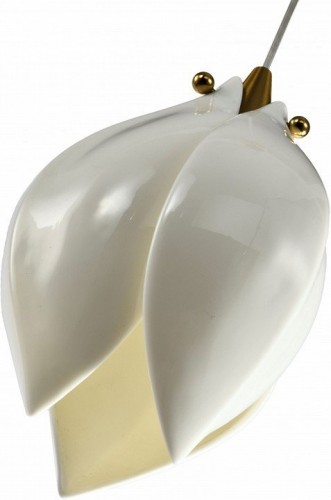 Подвесной светильник Zortes Dalin ZRS.90609.01