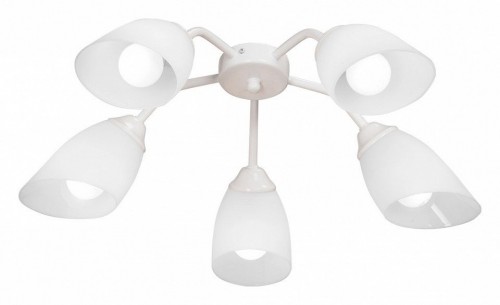 Потолочная люстра Vitaluce V31950/5PL