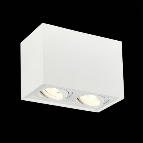 Потолочный светильник ST Luce ST109.507.02