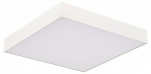 Потолочный светильник ST Luce ST608.542.96 Потолочный светильник ST Luce ST608.542.96