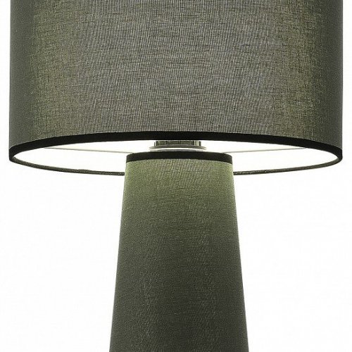 Интерьерная настольная лампа ST Luce Jackie SL1354.704.01