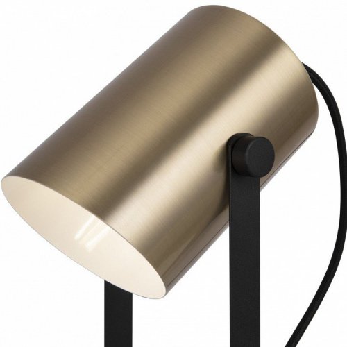 Интерьерная настольная лампа Freya Elori FR4004TL-01BBS