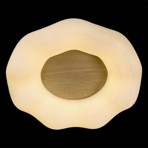 Потолочный светильник Reluce 01029-0.3-01 WOOD