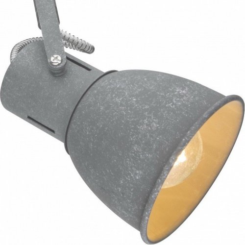 Спот Arte Lamp A1677PL-2GY