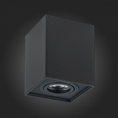 Потолочный светильник ST Luce ST109.407.01 Потолочный светильник ST Luce ST109.407.01