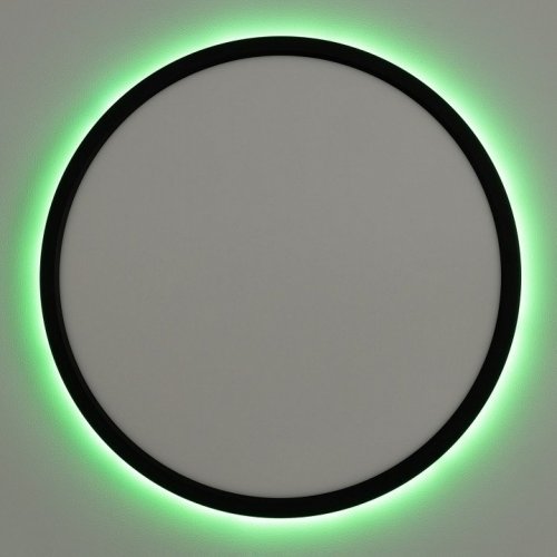 Настенно-потолочный светильник Citilux Basic Line CL738321EL