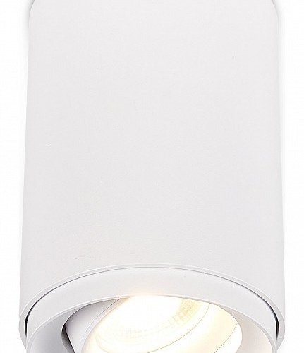 Накладной светильник SIMPLE STORY 2065 2065-1CLW Накладной светильник SIMPLE STORY 2065 2065-1CLW