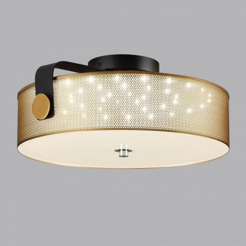 Накладной светильник Lumion Drumy 6597/40L