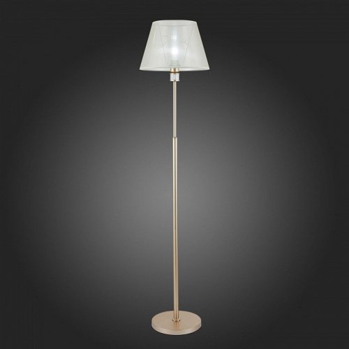 Торшер Evoluce Manila SLE107505-01