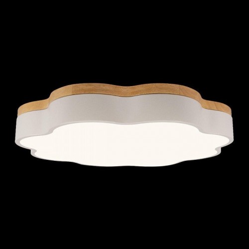 Потолочный светильник Loft IT Axel 10225/36 White