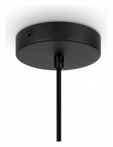 Подвесной светильник Maytoni Roots MOD191PL-01W