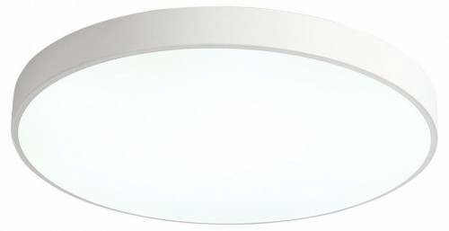 Потолочный светильник Zortes Tortty ZRS.02564.96