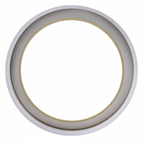 Потолочный светильник Zortes Adel ZRS.1200.01