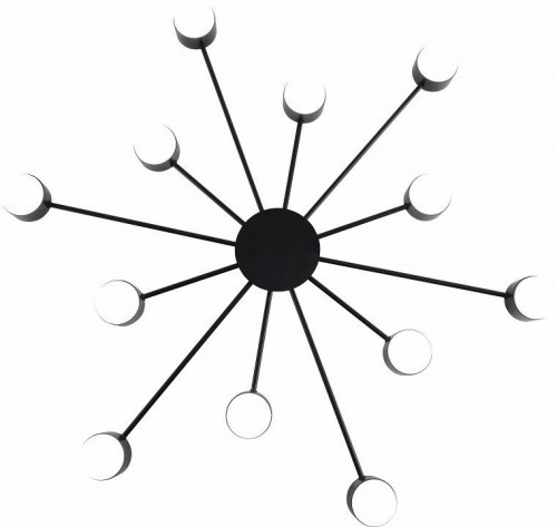 Потолочная люстра Leona 3184-312