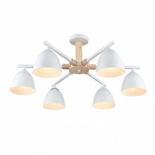 Потолочная люстра Lumion Colange 8095/6C Потолочная люстра Lumion Colange 8095/6C