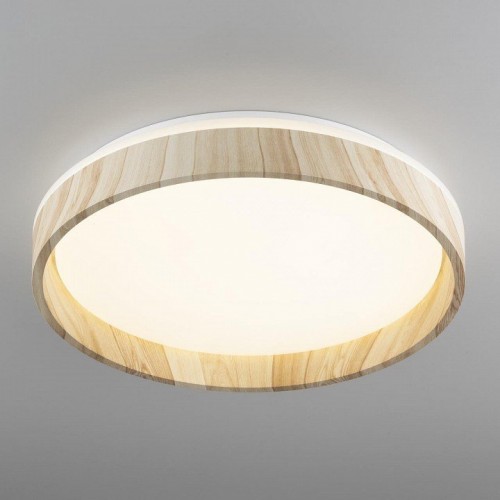 Накладной светильник Citilux ENZO CL753352G Накладной светильник Citilux ENZO CL753352G