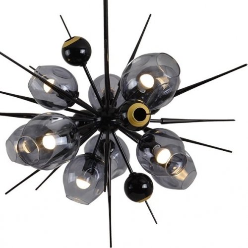 Потолочная люстра DeLight Collection Burst 9720P-10S black/smoky